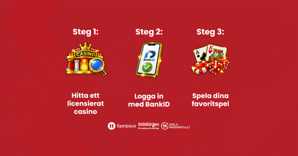 Hur Pay N Play fungerar